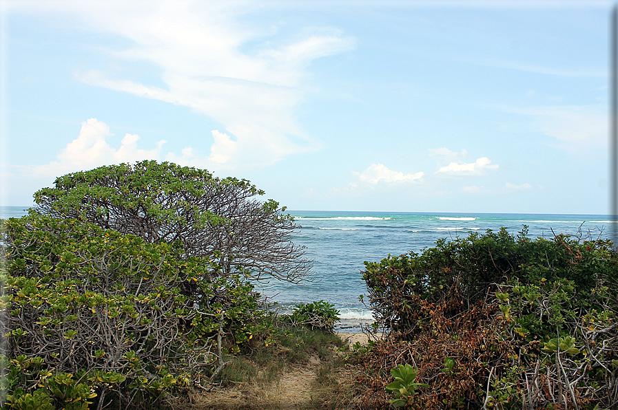 foto Spiagge dell'Isola di Oahu